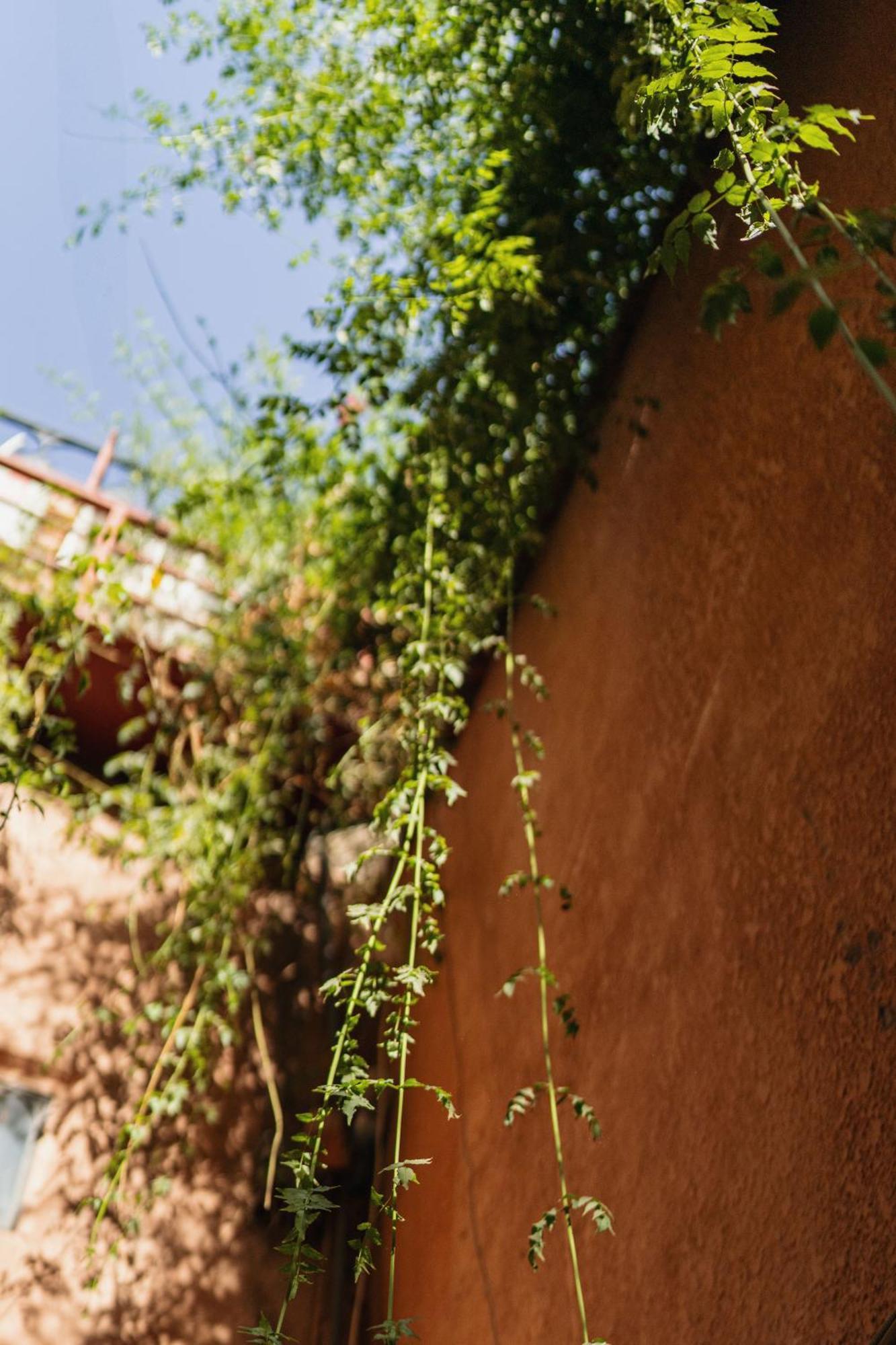Riad Senja Marrakesh Exterior photo